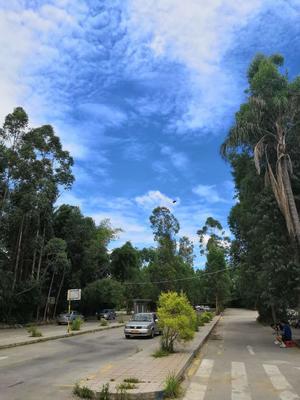 厦门勋联鸿驾校集美报名点评价、价格与服务解析