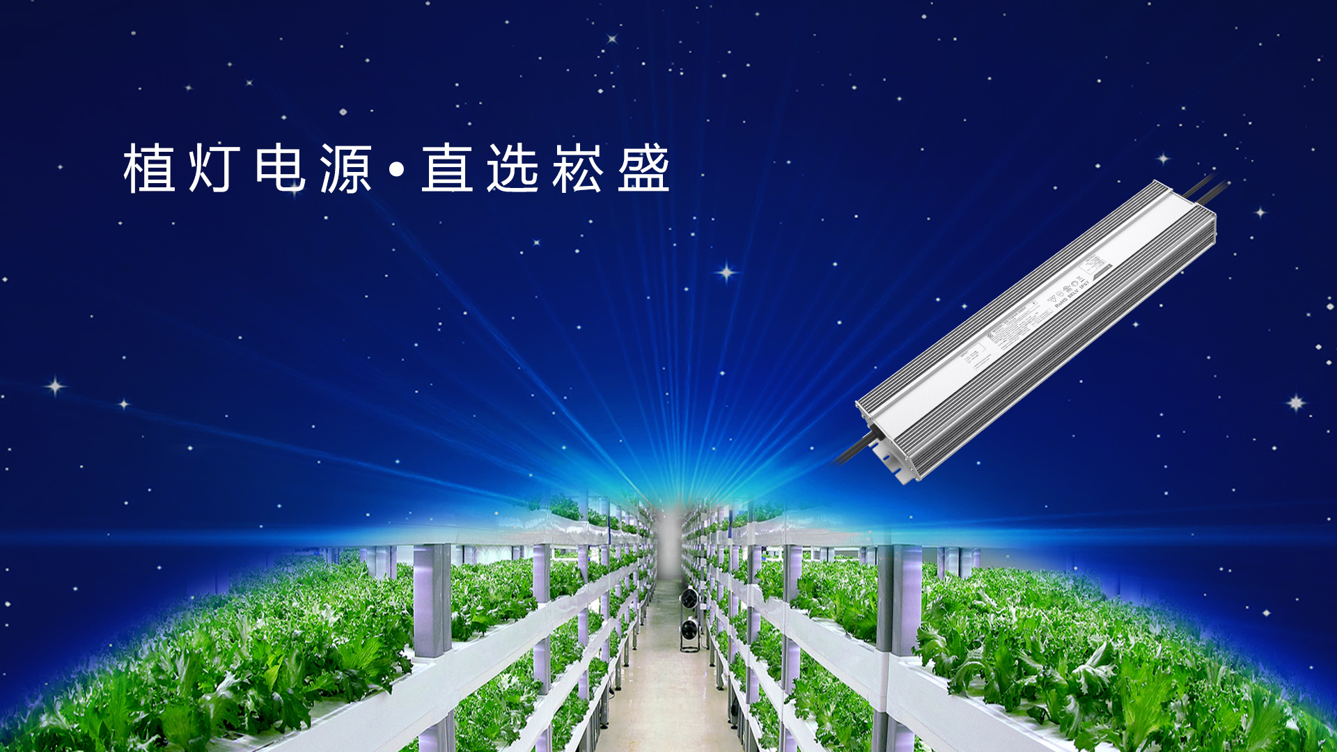 追光而行 ▏做植物照明驱动者，让未来农业绽放无限可能